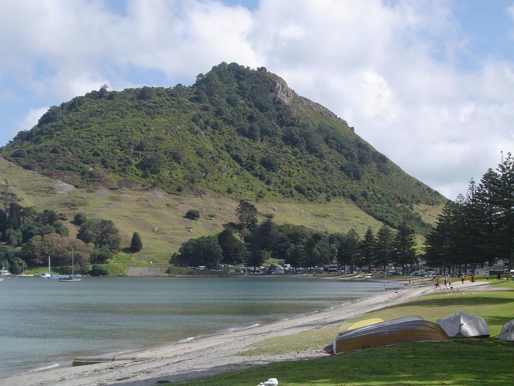 Seagulls Guesthouse Mount Maunganui Exterior foto